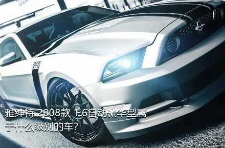 雅绅特 2008款 1.6自动豪华型属于什么级别的车？