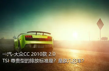 一汽-大众CC 2010款 2.0TSI 尊贵型的排放标准是？是欧几的车？