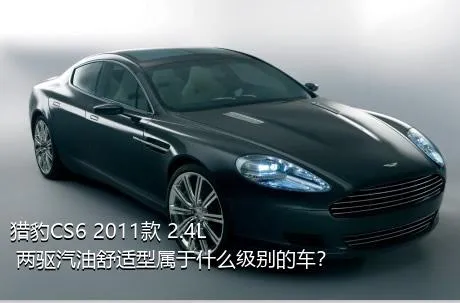 猎豹CS6 2011款 2.4L 两驱汽油舒适型属于什么级别的车？