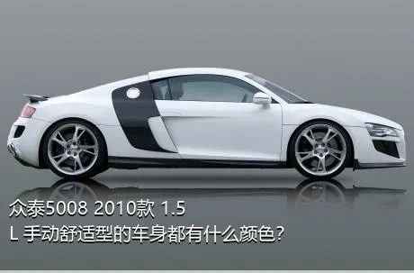 众泰5008 2010款 1.5L 手动舒适型的车身都有什么颜色？