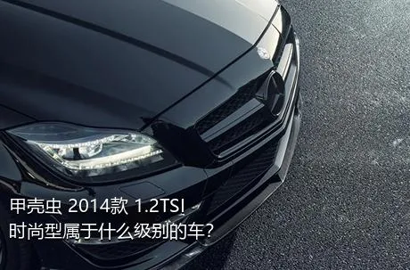 甲壳虫 2014款 1.2TSI 时尚型属于什么级别的车？