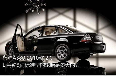 永源A380 2010款 2.0L 手动3门标准型的轮胎是多大的？