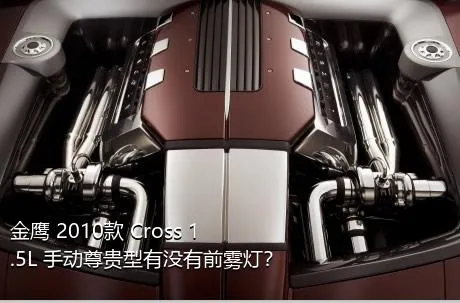 金鹰 2010款 Cross 1.5L 手动尊贵型有没有前雾灯？