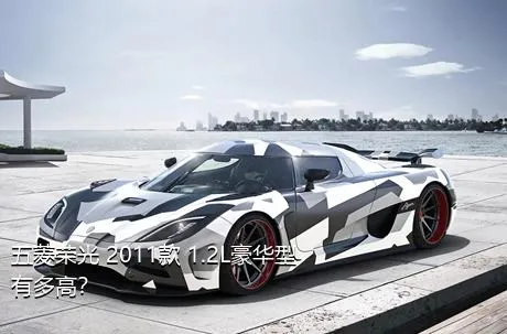 五菱荣光 2011款 1.2L豪华型有多高？