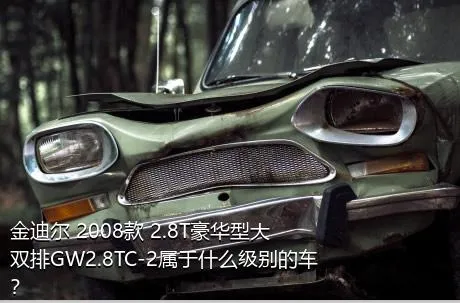 金迪尔 2008款 2.8T豪华型大双排GW2.8TC-2属于什么级别的车？