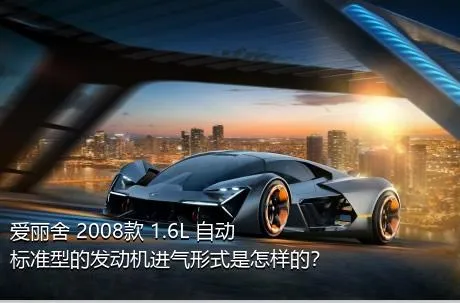 爱丽舍 2008款 1.6L 自动标准型的发动机进气形式是怎样的？