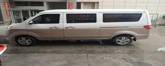 金杯小海狮通病是什么？，金杯小海狮汽油泵通病