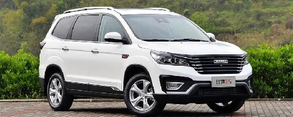 bisu是什么车？