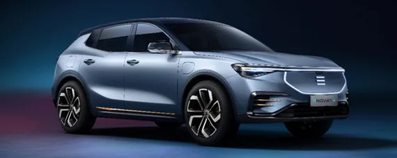 理想湾是什么车？，理想湾电动汽车